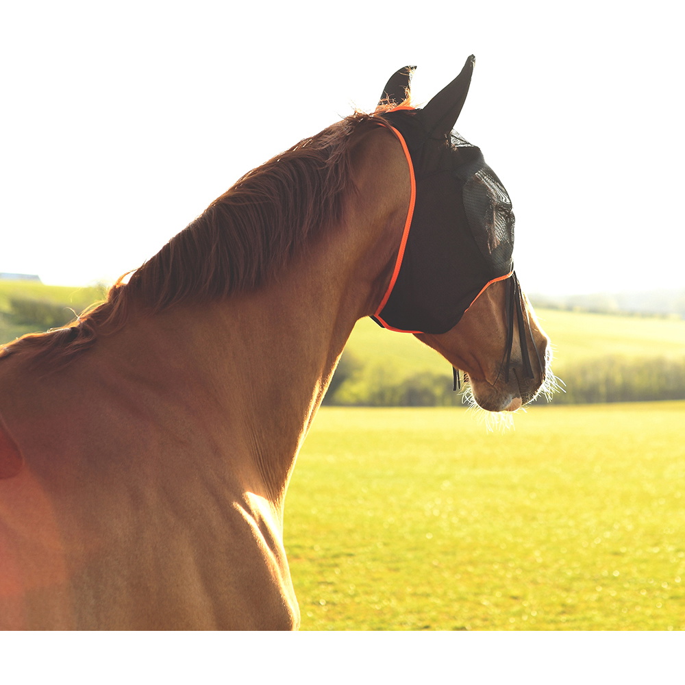 Equilibrium Feld Relief Midi Fly Maske Mit Ohren - / Black Orange